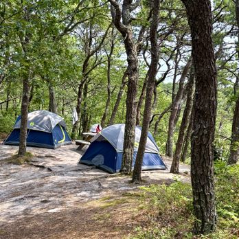 Dunes' Edge Campground - Campgrounds Near Me - Provincetown, Massachusetts Dunes' Edge Campground - Campgrounds Near Me - Provincetown, Massachusetts