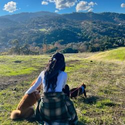 January 1st 2024 , first hike of the year with my babies