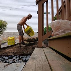 Nashville Yardscapes - Laying Sod! The tall fescue is doing great even with the heat!