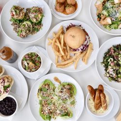 Dish Society