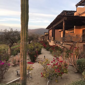 Jazamango - Mexican Near Me - Todos Santos, BCS Jazamango - Mexican Near Me - Todos Santos, BCS