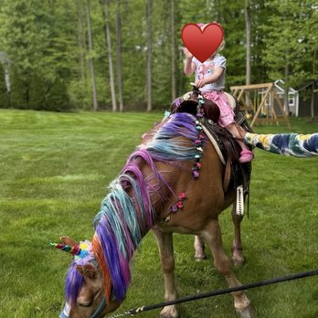Rp Ponies And Entertainment - Party & Event Planning Near Me Rp Ponies And Entertainment - Party & Event Planning Near Me