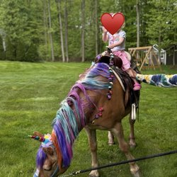 Rp Ponies And Entertainment