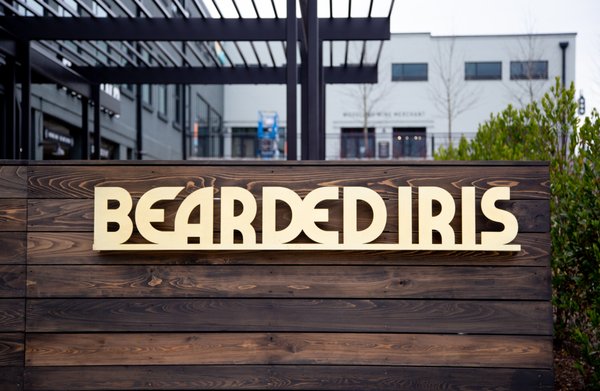 Bearded Iris - Sylvan Supply by null