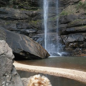 Toccoa Falls - Local Flavor Near Me - Toccoa, Georgia