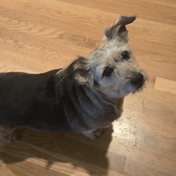 Snohomish Dog Spaw - Pet Groomers Near Me - Snohomish, Washington