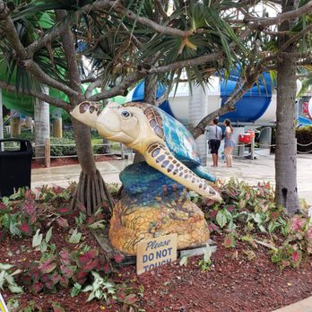 Rapids Waterpark - Ocean Sculptures throughout - Water Parks Near Me - Riviera Beach, Florida Rapids Waterpark - Ocean Sculptures throughout - Water Parks Near Me - Riviera Beach, Florida