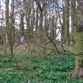Kellie Castle & Garden - Children's playground in the woods - Castles Near Me - Pittenweem, FIF