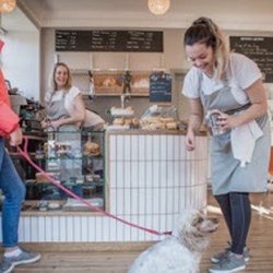 Goose On The Green - Counter and dog