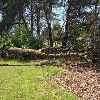 Hulsey Tree Service - Tree Services Near Me - Leesburg, Alabama Hulsey Tree Service - Tree Services Near Me - Leesburg, Alabama