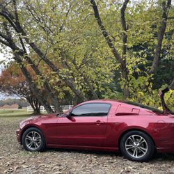 JSL Auto Tint - Tint