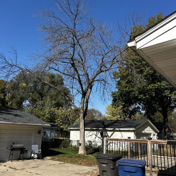 Good Guys Tree Service - Tree Services Near Me