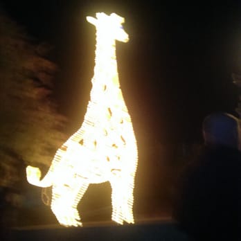 Zoolights - Zoos Near Me - Phoenix, Arizona Zoolights - Zoos Near Me - Phoenix, Arizona