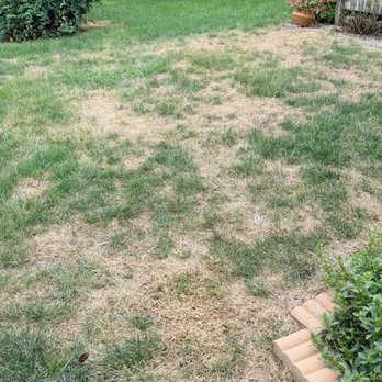 TruGreen Lawn Care - My yard after two years of treatment by Truegreen - Lawn Services Near Me - Wayne, New Jersey TruGreen Lawn Care - My yard after two years of treatment by Truegreen - Lawn Services Near Me - Wayne, New Jersey
