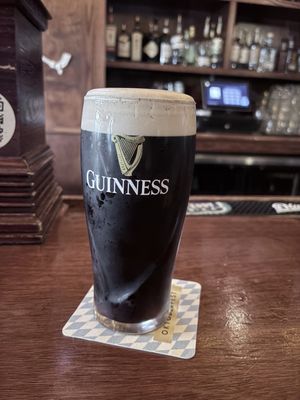 The Irish Rover Pub by null