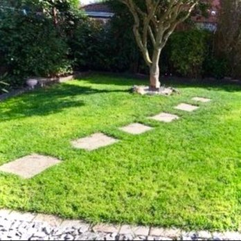 JovanCare - my lawn after - Lawn Services Near Me