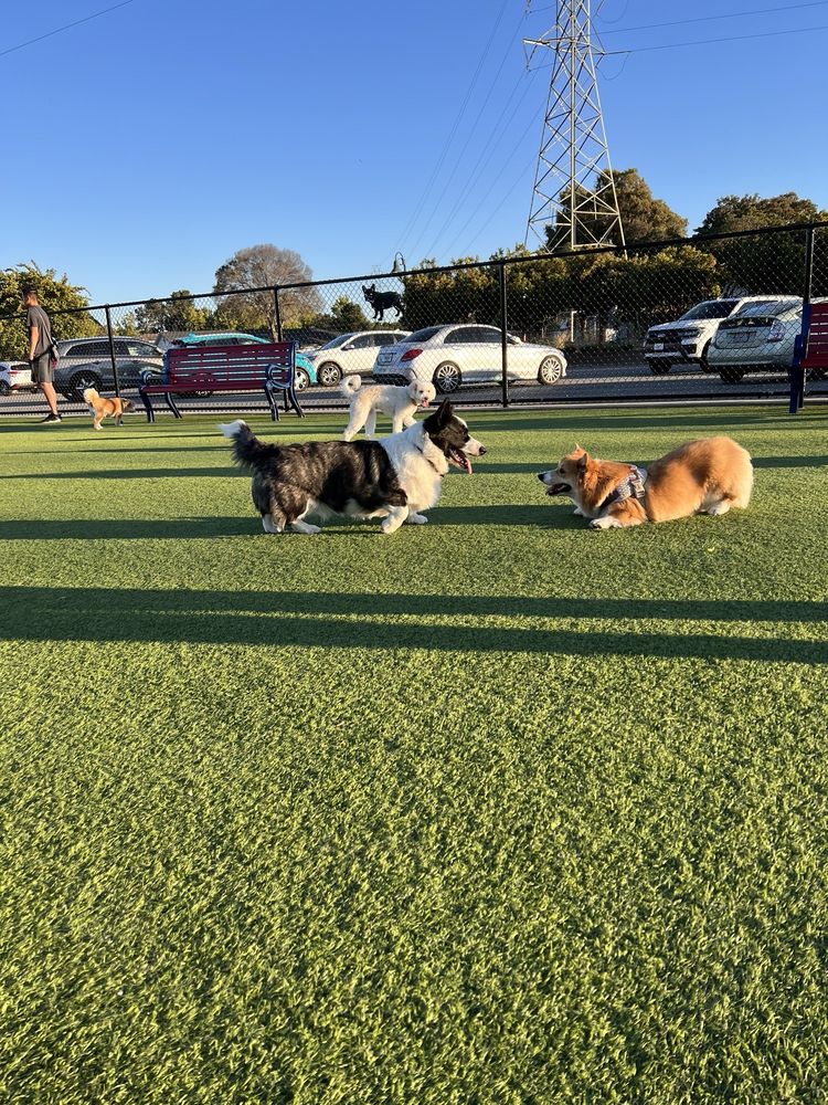 Foster City Dog Park Logo