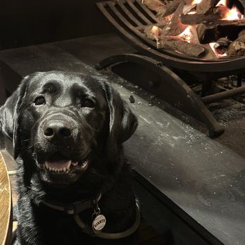 The Waterfront - Our pup by the fire - Pubs Near Me - London, XGL The Waterfront - Our pup by the fire - Pubs Near Me - London, XGL