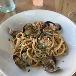 Bucatini w/ Clams