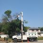Photo of JC Landscape & Maintenance