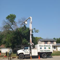 JC Landscape & Maintenance - Full service tree company