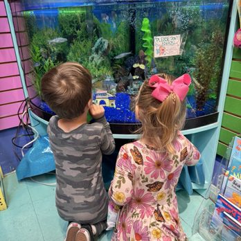 Terra Toys - Toy Stores Near Me - Austin, Texas Terra Toys - Toy Stores Near Me - Austin, Texas