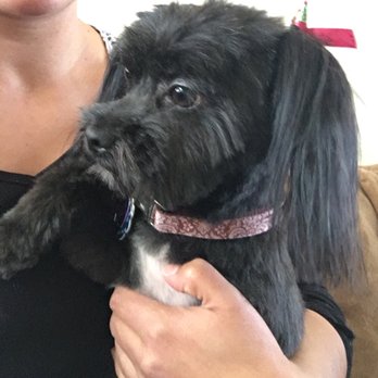 Canine Cottage - Pet Groomers Near Me - Sparks, Nevada Canine Cottage - Pet Groomers Near Me - Sparks, Nevada