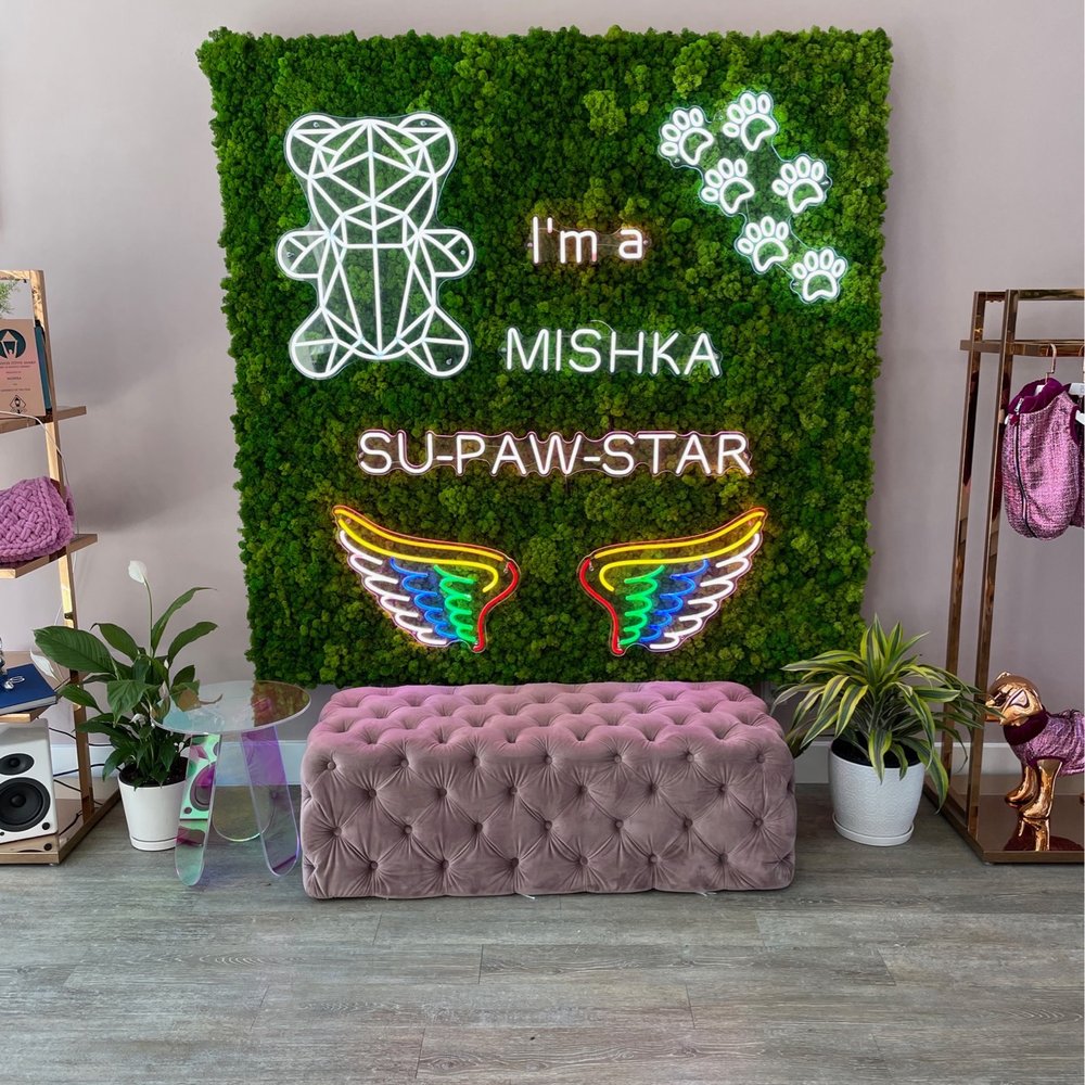 Mishka - Pet Stores Near Me - San Francisco, California Mishka - Pet Stores Near Me - San Francisco, California
