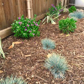 Robert's Complete Care - Plants | Mulch | Drip System under Mulch - Landscaping Near Me Robert's Complete Care - Plants | Mulch | Drip System under Mulch - Landscaping Near Me