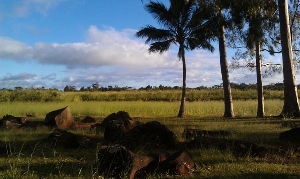Kukaniloko Birth Stones by null