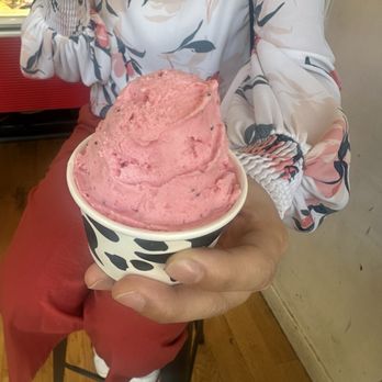 Bottega Italiana - Raspberry dragon fruit - Gelato Near Me - Seattle, Washington Bottega Italiana - Raspberry dragon fruit - Gelato Near Me - Seattle, Washington
