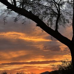 KOA Journey - Sky on fire