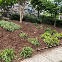 My Aunt's front yard after Lenard's was finished.