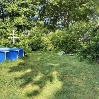 EcoLawn Electric - Before EcoLawns visit - Lawn Services Near Me