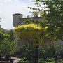 Photo of Parc Du Fort Montluc