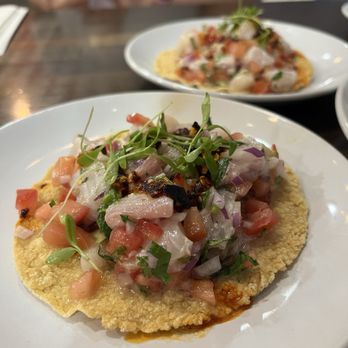Holbox - Tostada de jurel - Latin American Near Me - Los Angeles, California Holbox - Tostada de jurel - Latin American Near Me - Los Angeles, California