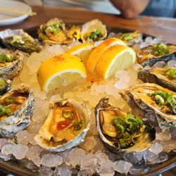 Cocoro Bistro - Oyster.