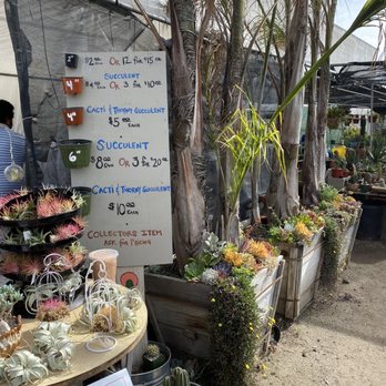Green Touch Nursery - Nurseries & Gardening Near Me - Bellflower, California Green Touch Nursery - Nurseries & Gardening Near Me - Bellflower, California