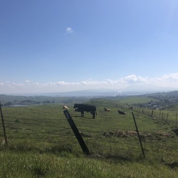 Bay Ridge Trail - Hiking Near Me