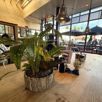 Le Pain Quotidien - Bakeries Near Me - Beverly Hills, California Le Pain Quotidien - Bakeries Near Me - Beverly Hills, California
