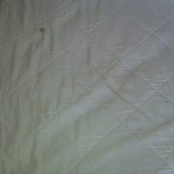 Circus Circus - Red stain, blood? - Hotels Near Me - Las Vegas, Nevada