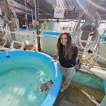 The Turtle Hospital - Veterinarians Near Me - Marathon, Florida The Turtle Hospital - Veterinarians Near Me - Marathon, Florida