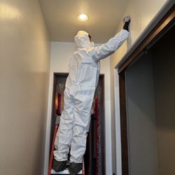 Jackson Restoration - All surfaces are wiped down with a plant-based anti-microbial agent