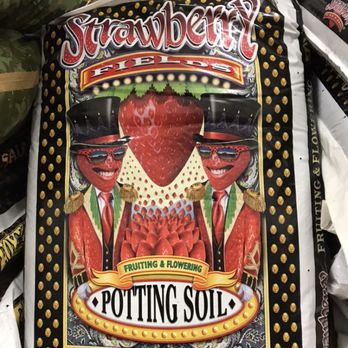Healthy Hydro - Flowering soil FoxFarm $13.99 - Lighting Fixtures & Equipment Near Me - Pompano Beach, Florida Healthy Hydro - Flowering soil FoxFarm $13.99 - Lighting Fixtures & Equipment Near Me - Pompano Beach, Florida