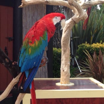 Six Flags Discovery Kingdom - Amusement Parks Near Me - Vallejo, California Six Flags Discovery Kingdom - Amusement Parks Near Me - Vallejo, California