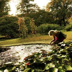 Botanischer Garten - Zedmelody