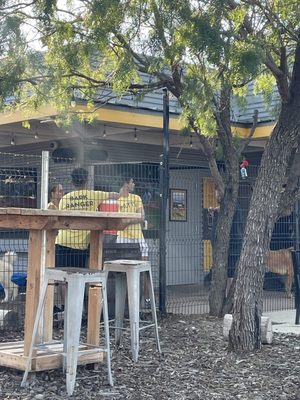 MUTTS Canine Cantina® by null