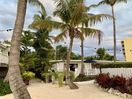 Coconut Palm Inn by null