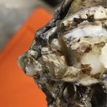 Tokyo Fish Market - Worm on the oyster - Seafood Markets Near Me - Berkeley, California Tokyo Fish Market - Worm on the oyster - Seafood Markets Near Me - Berkeley, California