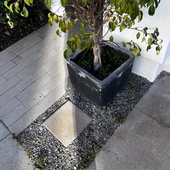 Yard Techs - Weeks left and a neglected planter - Landscaping Near Me Yard Techs - Weeks left and a neglected planter - Landscaping Near Me